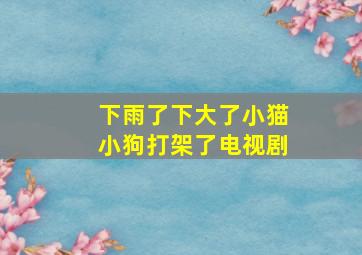 下雨了下大了小猫小狗打架了电视剧