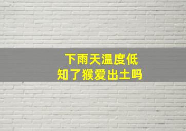 下雨天温度低知了猴爱出土吗