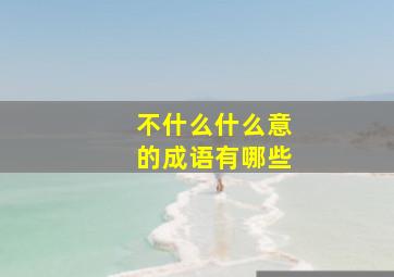 不什么什么意的成语有哪些