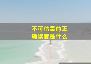 不可估量的正确读音是什么