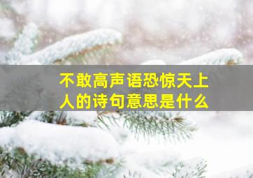 不敢高声语恐惊天上人的诗句意思是什么