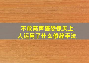 不敢高声语恐惊天上人运用了什么修辞手法