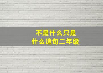 不是什么只是什么造句二年级