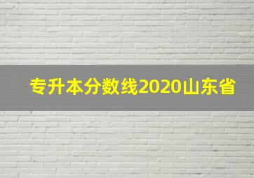 专升本分数线2020山东省