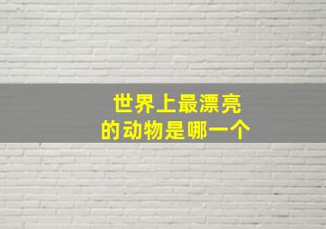 世界上最漂亮的动物是哪一个