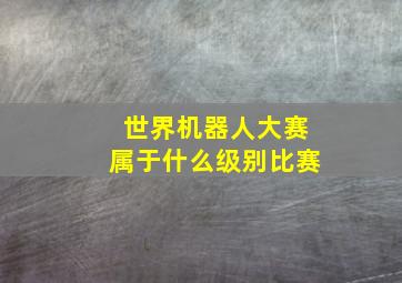 世界机器人大赛属于什么级别比赛