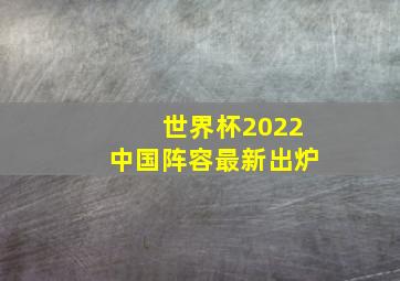 世界杯2022中国阵容最新出炉