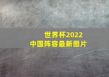 世界杯2022中国阵容最新图片