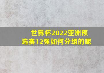 世界杯2022亚洲预选赛12强如何分组的呢