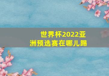 世界杯2022亚洲预选赛在哪儿踢