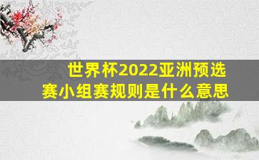 世界杯2022亚洲预选赛小组赛规则是什么意思