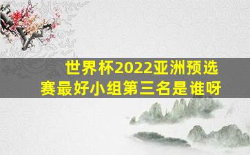 世界杯2022亚洲预选赛最好小组第三名是谁呀