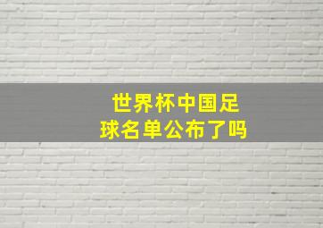 世界杯中国足球名单公布了吗