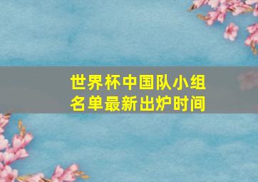 世界杯中国队小组名单最新出炉时间