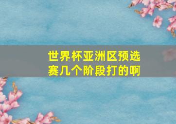 世界杯亚洲区预选赛几个阶段打的啊