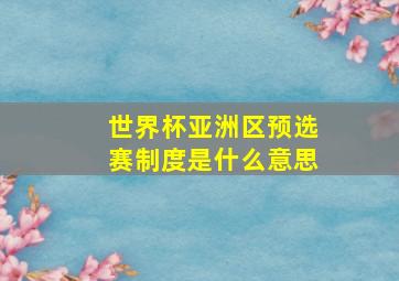 世界杯亚洲区预选赛制度是什么意思