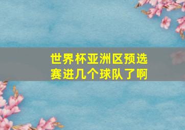 世界杯亚洲区预选赛进几个球队了啊