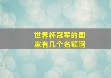 世界杯冠军的国家有几个名额啊