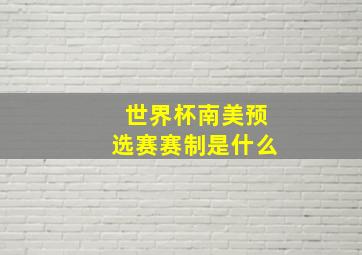 世界杯南美预选赛赛制是什么