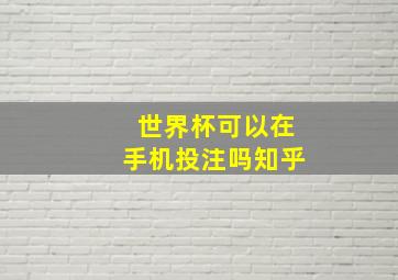 世界杯可以在手机投注吗知乎