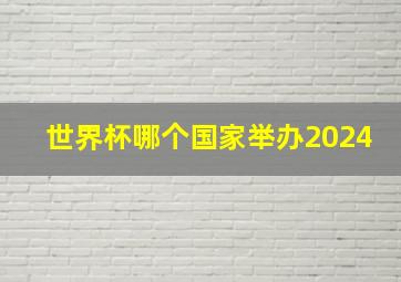 世界杯哪个国家举办2024