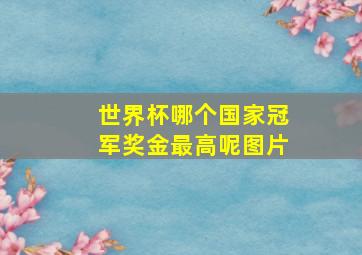 世界杯哪个国家冠军奖金最高呢图片