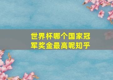 世界杯哪个国家冠军奖金最高呢知乎