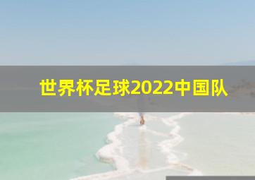 世界杯足球2022中国队