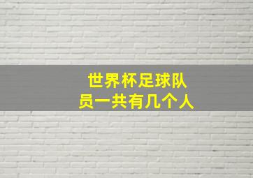 世界杯足球队员一共有几个人