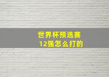 世界杯预选赛12强怎么打的