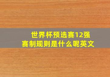 世界杯预选赛12强赛制规则是什么呢英文