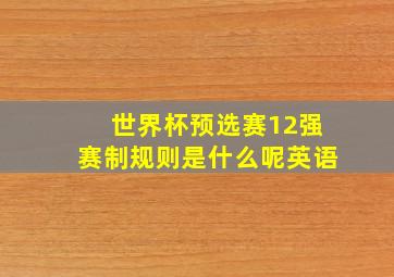 世界杯预选赛12强赛制规则是什么呢英语