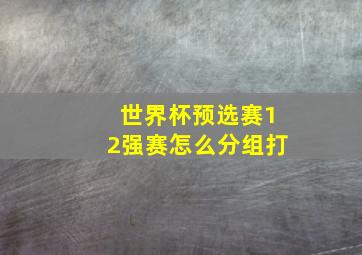 世界杯预选赛12强赛怎么分组打