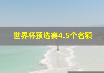 世界杯预选赛4.5个名额