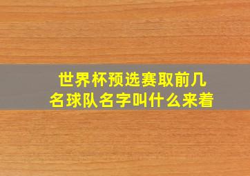 世界杯预选赛取前几名球队名字叫什么来着