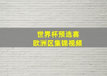 世界杯预选赛欧洲区集锦视频