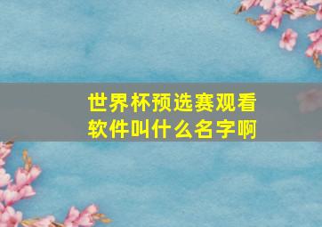 世界杯预选赛观看软件叫什么名字啊