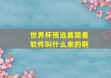 世界杯预选赛观看软件叫什么来的啊