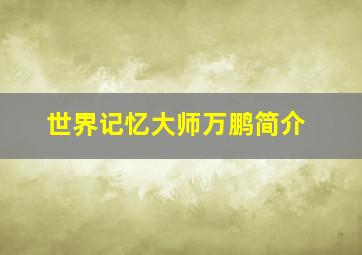 世界记忆大师万鹏简介