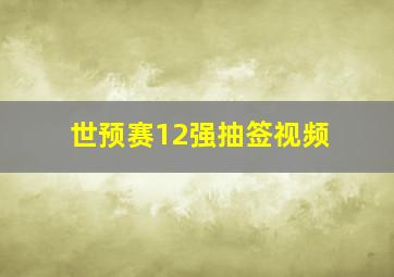 世预赛12强抽签视频