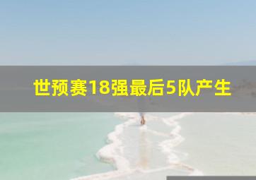 世预赛18强最后5队产生