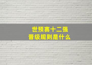 世预赛十二强晋级规则是什么