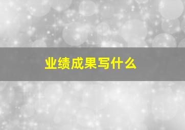 业绩成果写什么