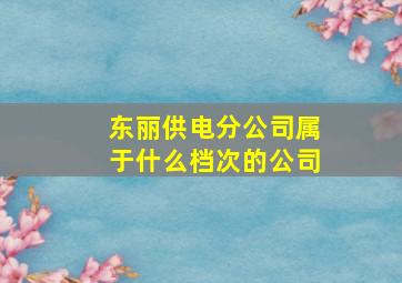 东丽供电分公司属于什么档次的公司