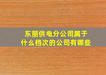 东丽供电分公司属于什么档次的公司有哪些