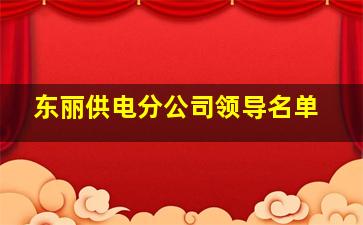 东丽供电分公司领导名单