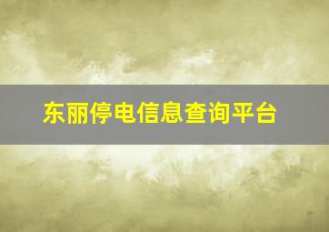 东丽停电信息查询平台