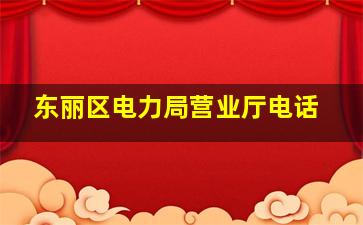 东丽区电力局营业厅电话