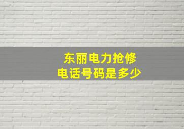 东丽电力抢修电话号码是多少