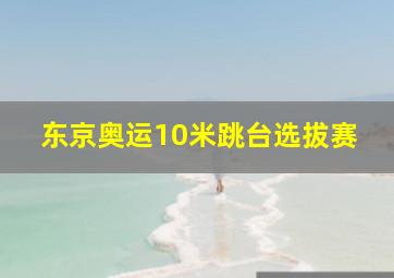 东京奥运10米跳台选拔赛